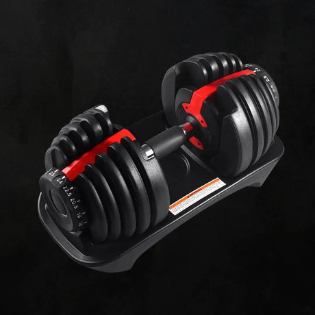 Dumbbell Exercises for Women at Home: Easy Routines to Tone Arms